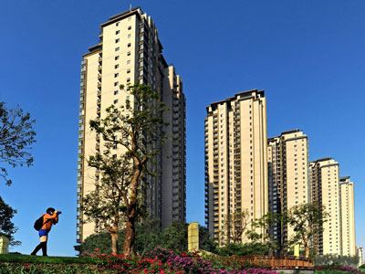 泰和紅樹(shù)林排水溝案例